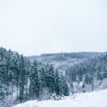 winter_6